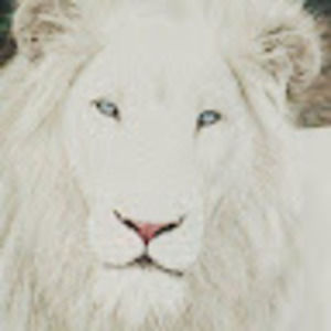 Meet your Posher, Ruth